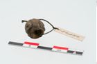 Foto von Glasringaugenperle (NHMW-PRAE-024974)